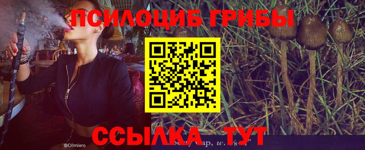 Котовск  Галлюциногенные грибы Psilocybine cubensis  Галлюциногенные грибы мухоморы  купить  сайты  Вход с VPN 